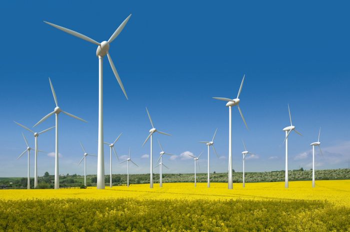 Turbin Angin Denmark Industri Terbesar Di Dunia