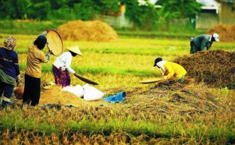 Tradisi Mapalus Dalam Perspektif Filosofis Masyarakat Minahasa Tradisi Mapalus Dalam Perspektif Filosofis Masyarakat Minahasa