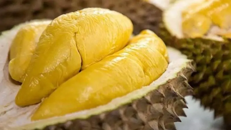 Buah Tropis Durian Yang Baunya Menyengat