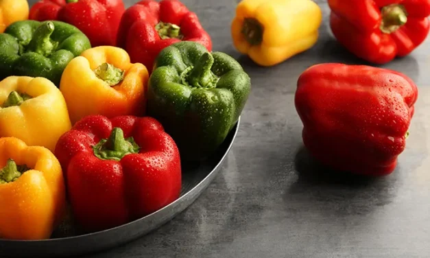 Sayuran Paprika Yang Masih Jarang Di Ketahui