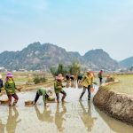 Indonesia Krisis Air: Pertanian Kuras 74% Stok Air Tawar