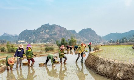 Indonesia Krisis Air: Pertanian Kuras 74% Stok Air Tawar