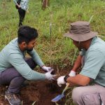 Benteng Alami! Pertamina Hijaukan Alam Lewat 1.300 Saninten