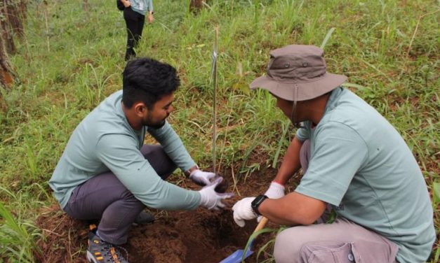 Benteng Alami! Pertamina Hijaukan Alam Lewat 1.300 Saninten