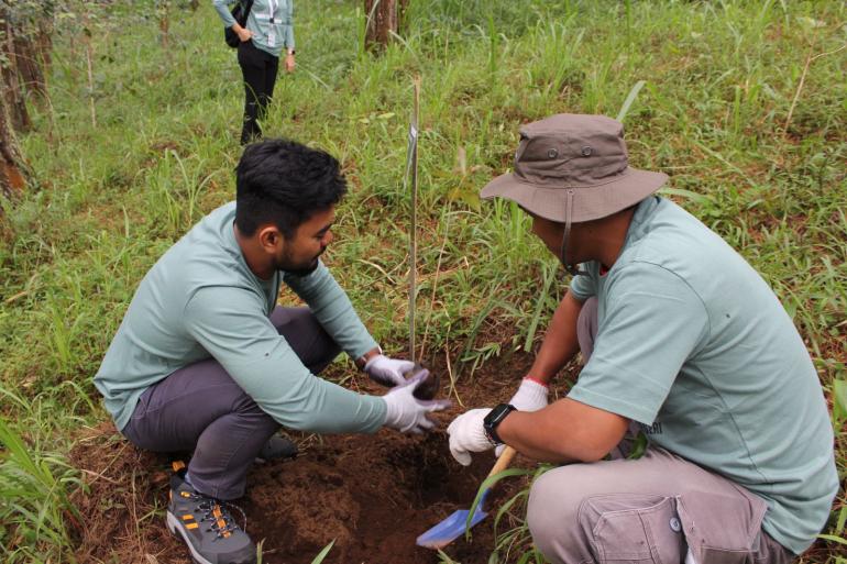 Benteng Alami! Pertamina Hijaukan Alam Lewat 1.300 Saninten