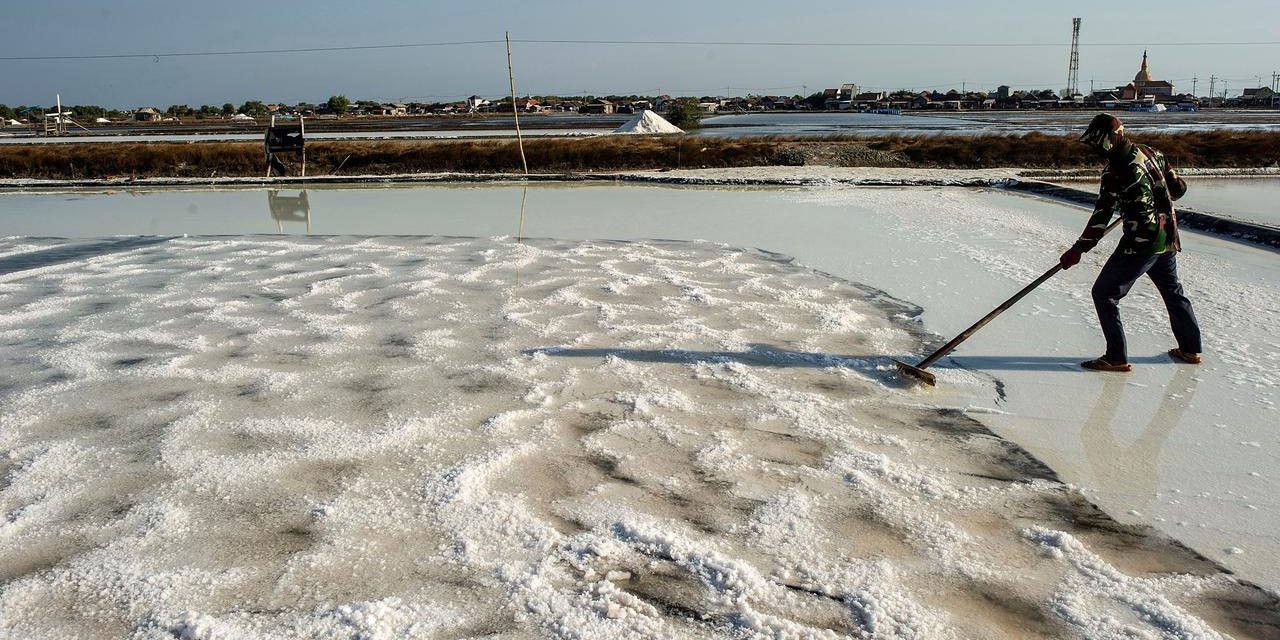 Garam 2027 Harus Swasembada, Yakin Bisa Atau Cuma Wacana?