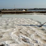 Garam 2027 Harus Swasembada, Yakin Bisa Atau Cuma Wacana?