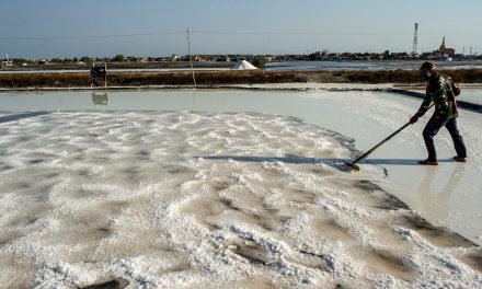 Garam 2027 Harus Swasembada, Yakin Bisa Atau Cuma Wacana?