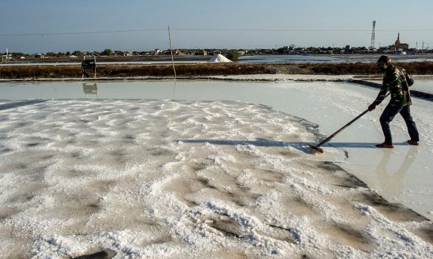 Garam 2027 Harus Swasembada, Yakin Bisa Atau Cuma Wacana?