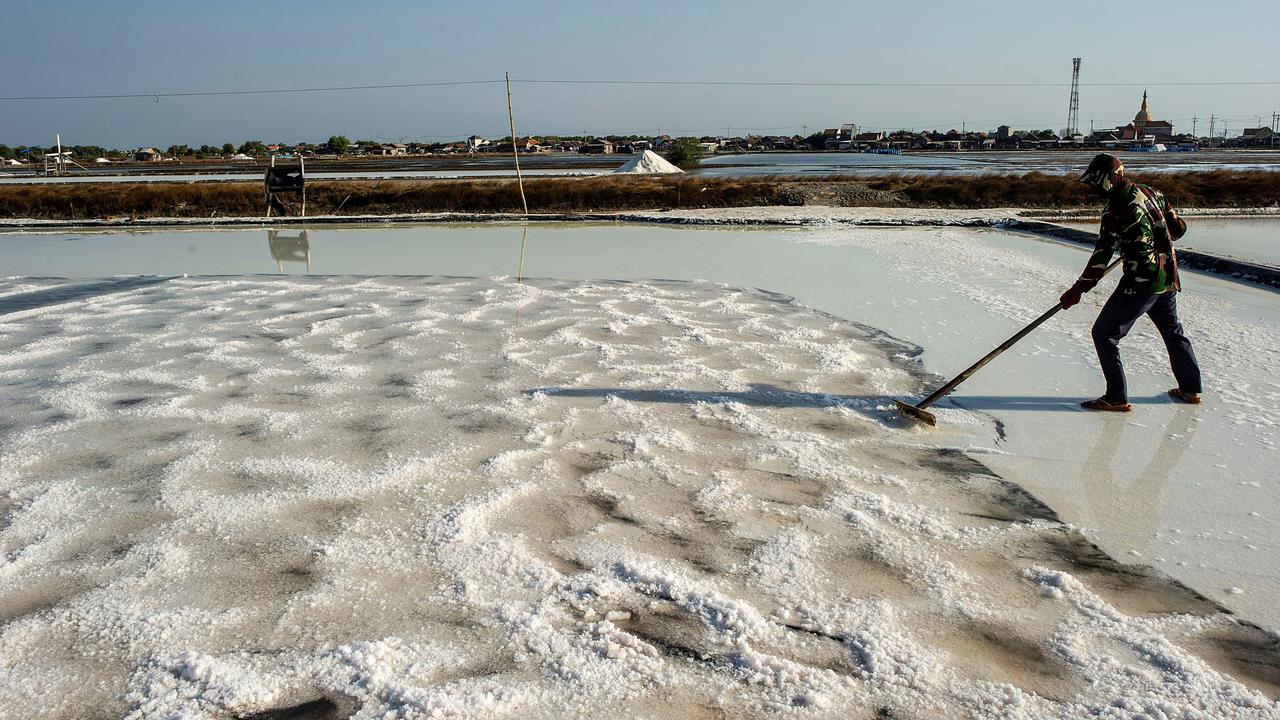 Garam 2027 Harus Swasembada, Yakin Bisa Atau Cuma Wacana?