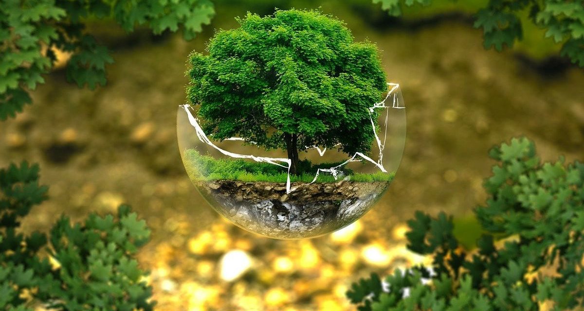 Kecil Tapi Fatal: Kebiasaan Yang Bikin Bumi Merana