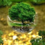 Kecil Tapi Fatal: Kebiasaan Yang Bikin Bumi Merana