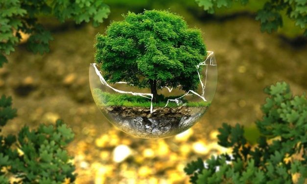 Kecil Tapi Fatal: Kebiasaan Yang Bikin Bumi Merana