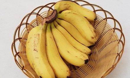 Mau Perut Sixpack? Konsumsi Buah Ini Biar Otot Cepat Jadi!