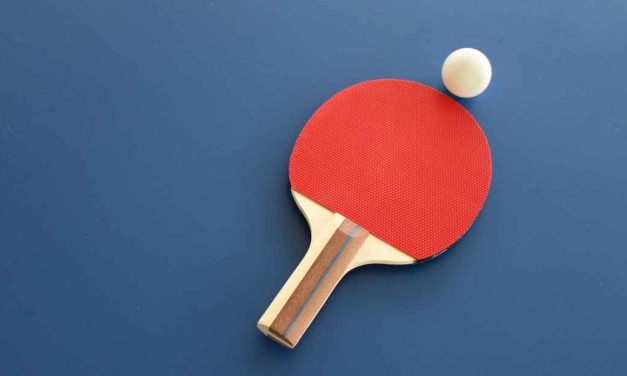 Pilihan Merek Bed Pingpong Berkualitas Untuk Semua Level
