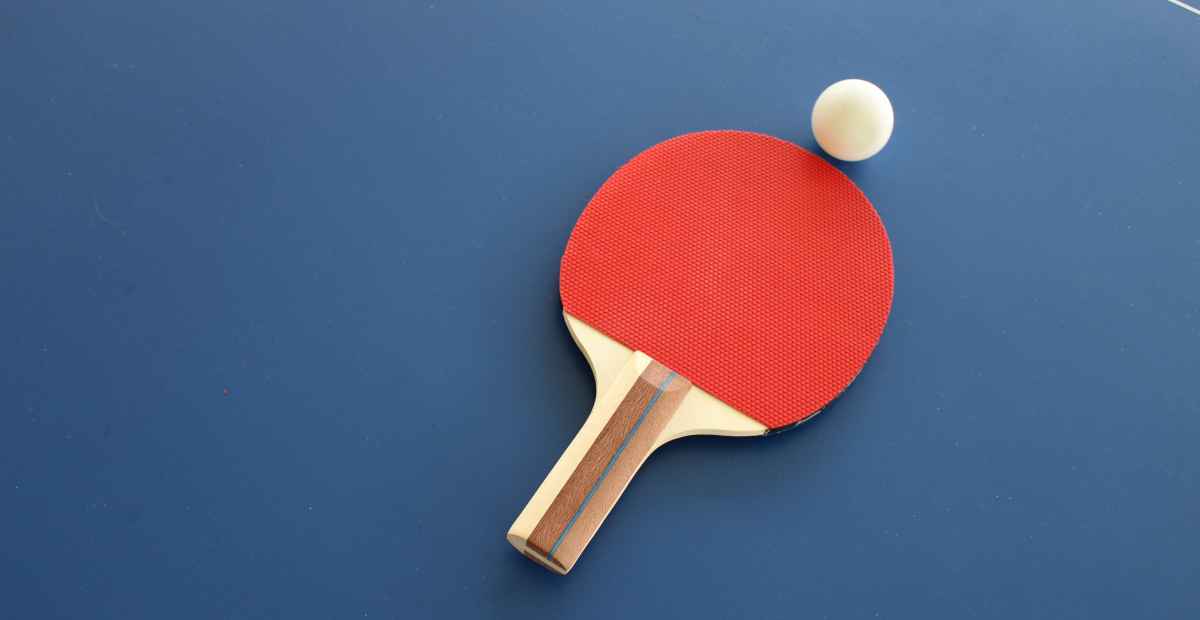 Pilihan Merek Bed Pingpong Berkualitas Untuk Semua Level