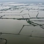 Tuban Banjir! 609 Hektar Lahan Pertanian Terendam